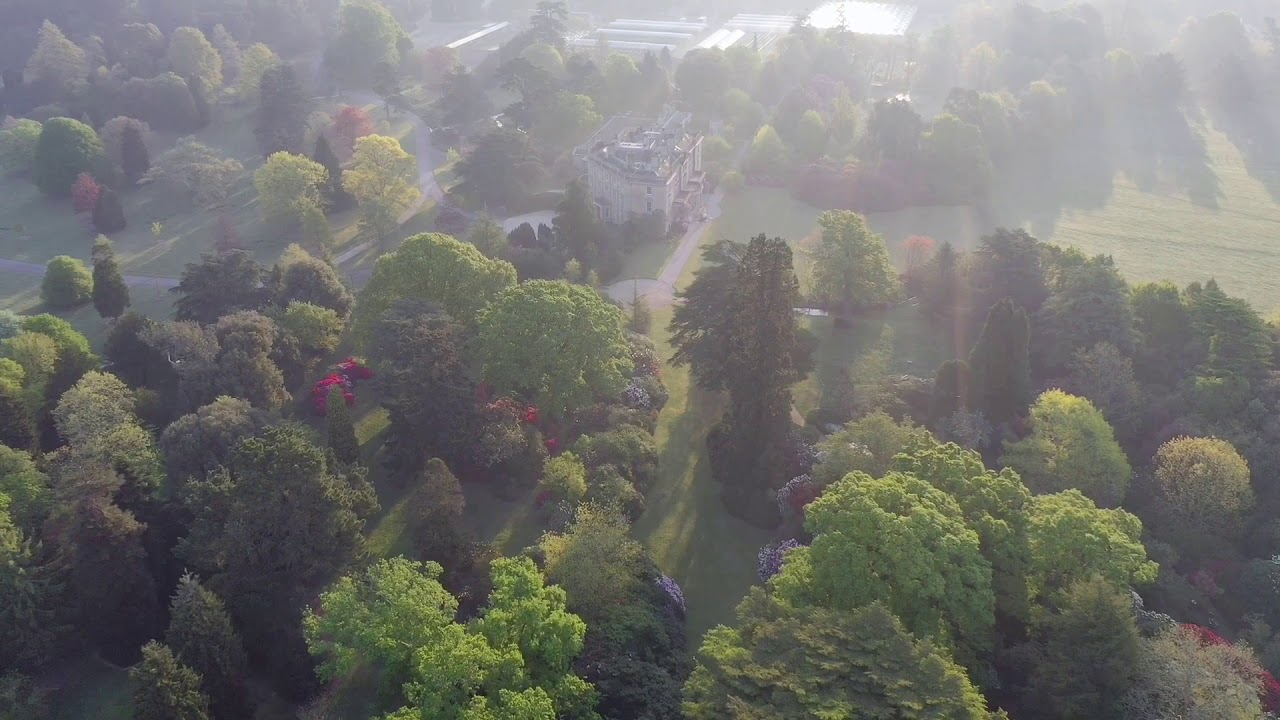 Birds eye view of Exbury Gardens on a spring morning