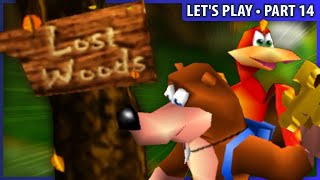 Banjo and Kazooie Lost in the Woods • Jiggies of Time
