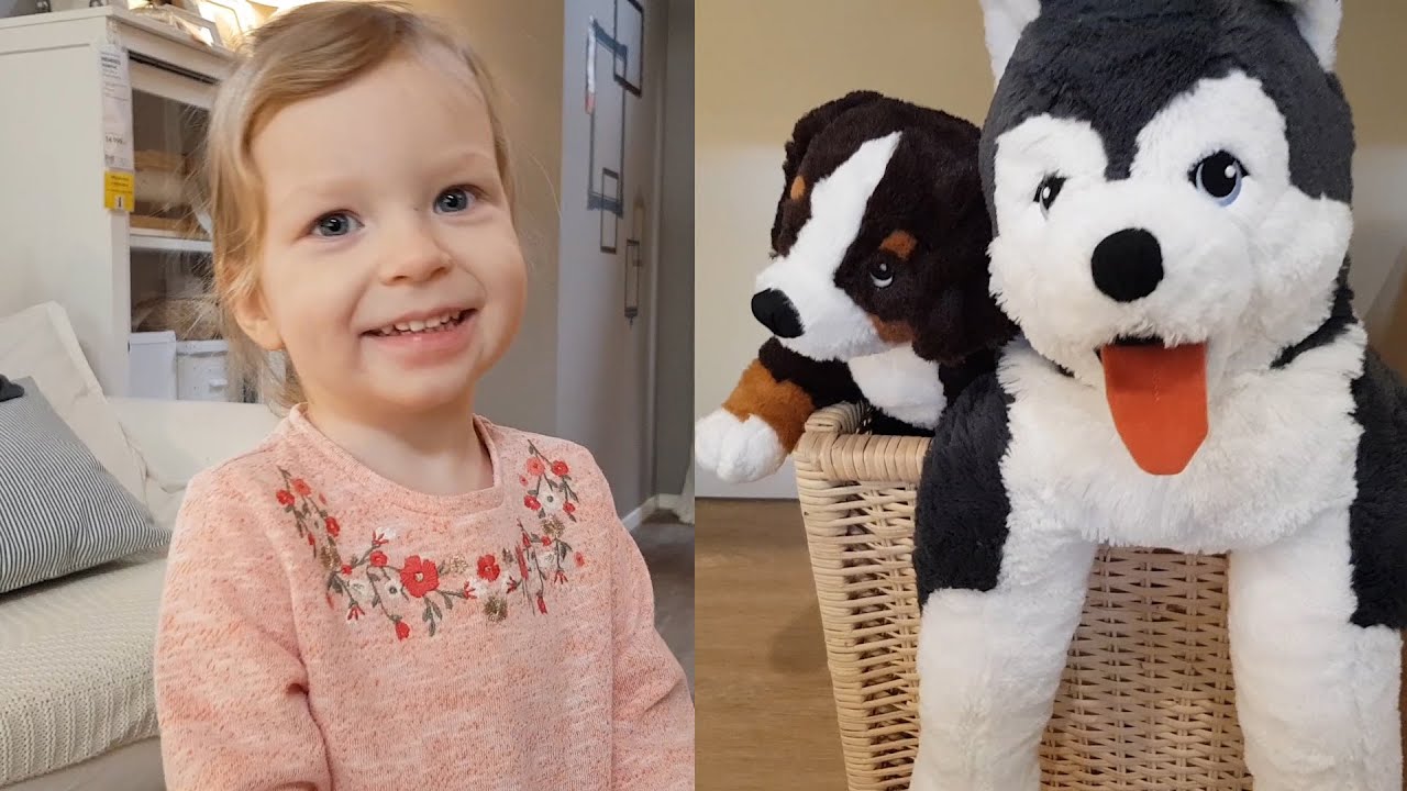 Learn Animals with Stuffed Toys for Toddlers YouTube