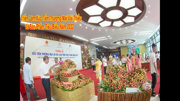 TRIỂN LÃM XÚC TIẾN THƯƠNG MẠI SẢN PHẨM VẢI THIỀU VÀ CÁC SẢN PHẨM TIÊU BIỂU CỦA HẢI DƯƠNG NĂM 2022