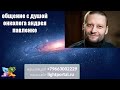 280. общение с душой онколога Андрея Павленко