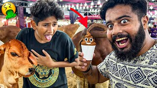 VAMPIRE YT KO GOBAR KHILA DIYA MANDI MEIN 🤮😂 | SYED FAHAD | COW MANDI VLOG | BAKRA EID | FUNNY 🤣