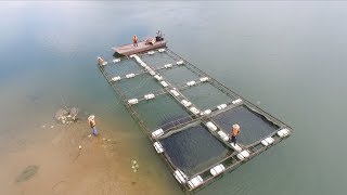 Where does farmed seafood come from?