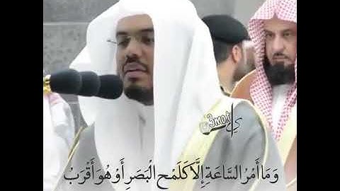 (والله أخرجكم من بطون أمهاتكم لا تعلمون شيئا) تلاوةعطرة للشيخ ياسر الدوسري