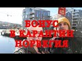 🔶Въезд в Норвегию в карантин. Бонус на работе в сельском хозяйстве Норвегии на карантине