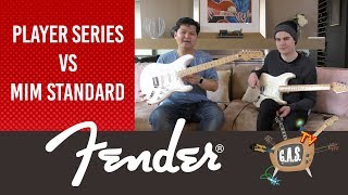 Mexican Strat-off | Fender Player Series vs Mexican Standard Stratocaster