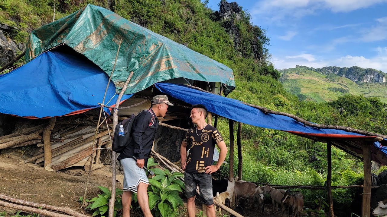 Saib Seb Yog Vim Li Cas Kaub Fuam Cia Li Tsis Ua Youtube Lawm Yog Vim Dab Tsi Tiag Kaub Awv