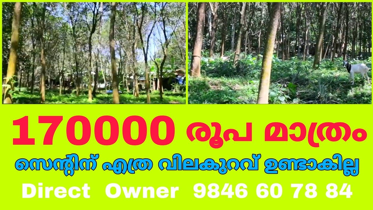 Land For Sale In Ernakulam Muvattupuzha Vazhakulam Plot For Sale