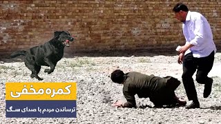 Hidden Camera – Fake dog bark prank🤣 / 🤣کمره مخفی - ترساندن مردم با صدای سگ