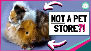 EXPLORING PETSMART ! ANIMAL FRIENDS EVERYWHERE!