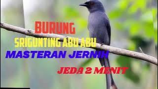 MASTERAN SRIGUNTING JERNIH JEDA 2 MENIT