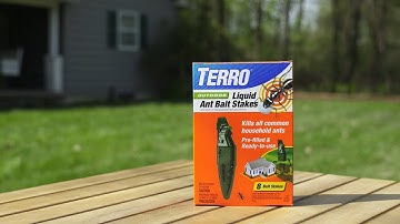 TERRO Outdoor Liquid Ant Bait Stakes