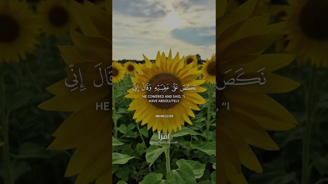 This is who Allah will punish 😔 #shorts #quran #quranrecitation #islamicrecitation #islamicprayer