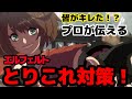 【GGST】皆がブチ切れた！？エルフェルトのとりこれ対策！ちゅららKY