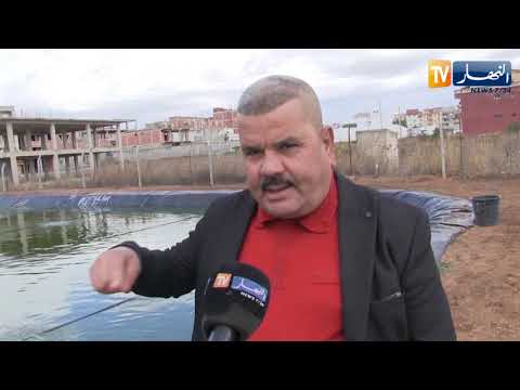 قسنطينة تربية الأسماك وتحسين سلالتها مشروع طموح ينتظر المزيد من الدعم 