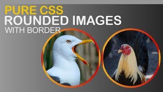 How To Create CSS Images Rounded Corners With Border