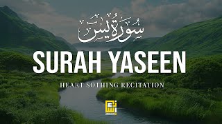 Touching Recitation of Surah Yasin (Yaseen) - سورة يس | SOFT VOICE | Zadullah TV