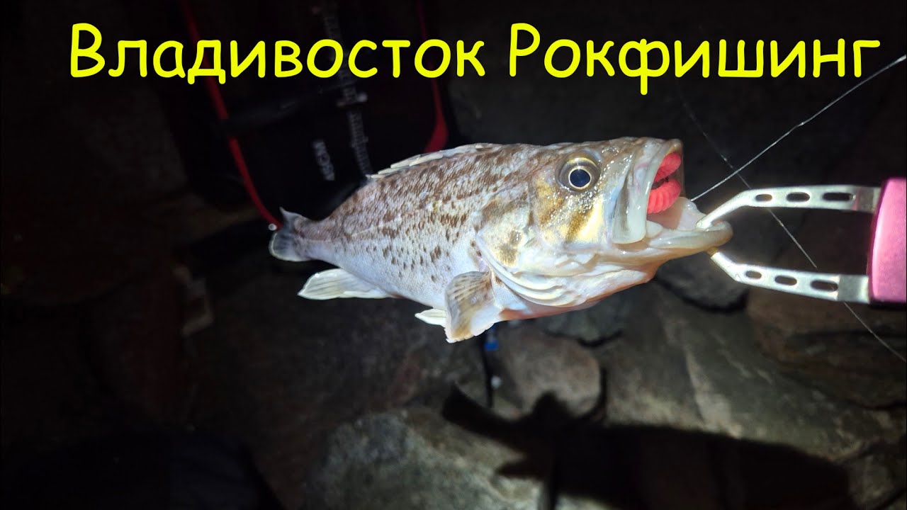 Рыбалка во Владивостоке, бычок,окунь и падение с камней :)