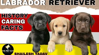 LABRADOR RETRIEVER DOG | PUPPY DETAILS IN HINDI 2024🔥 by THE PET GUY 676 views 3 months ago 11 minutes, 26 seconds