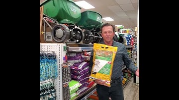 Fertilize your lawn in the fall!