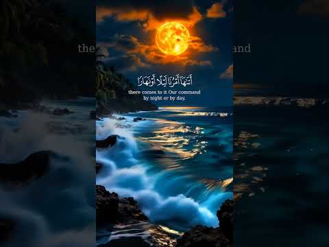 حتى اذا اخذت الارض زخرفها وازينت وظن اهلها انهم قادرون عليها اتاها امرنا سورة يونس ياسر الدوسري 