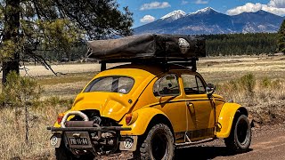 E13 Driving my VW Beetle to the Grand Canyon! Camping at Sedona & flagstaff | Baja bug overland