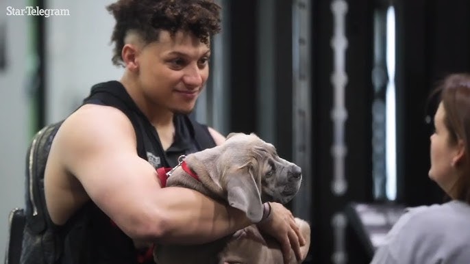 Chiefs quarterback Patrick Mahomes brings his puppy to offseason training -  YouTube