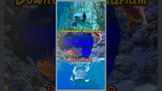 vlog | Downtown Aquarium @ Denver, CO