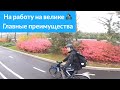 Плюсы езды на работу на велосипеде.  Москва 2019