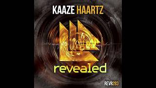 Kaaze Vs Dbstf & Maurice West Vs Firebeatz - Haartz Vs Temple Vs Arsonist (Dany Woodster 2017 Edit)