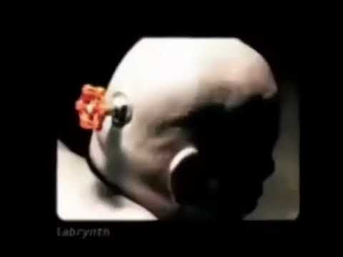 Valve Guy Face
