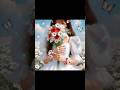 dresses dream dresses for girls Barbies#disney #viral #disneyprincess #newfaichan #newcloth #shorts