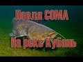 Рыбалка Тлюстенхабль Ловим сома/// Рыбалка на кубани  /// Выпуск № 8