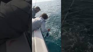 Person Loses a Large Tuna After a 30-Minute Hunt