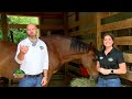 Outdoors Delmarva Equestrian Special - 06/03/23