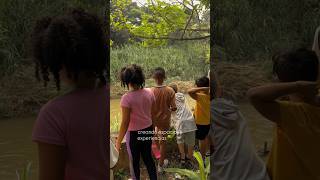 Cultura Ambiental Caleña - Laboratorios pal barrio