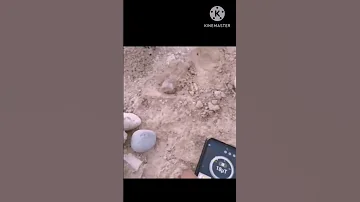 برنامج كاشف المعادن و الذهب بالهاتف تطبيق كشف الدهب الأصلي 