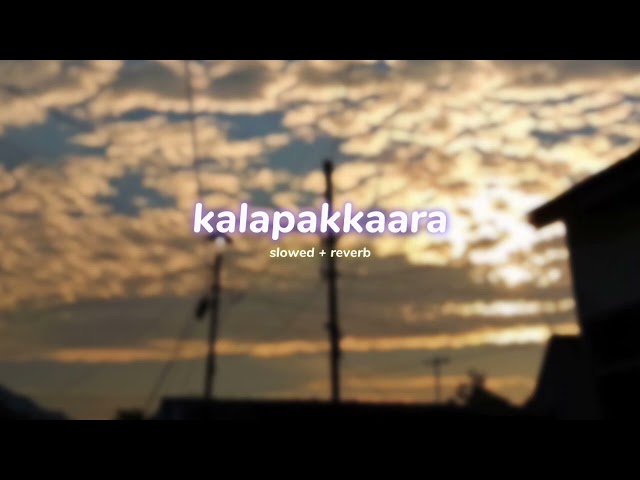 kalapakkaara ( s l o w e d + r e v e r b | lilvibe class=