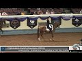 2020 Youth Nationals Horse Show - Arabian English Show Hack JOTR