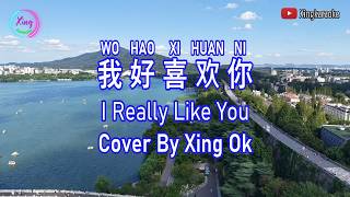 我好喜欢你 Wo Hao Xi Huan Ni | Mandarin Song Cover