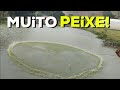 Pesca de tarrafa_mais de 20 kg de peixe em uma tarrafada_net fishing