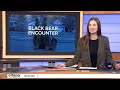 Q2 Montana This Morning with Hailey Monaco 5-21-26