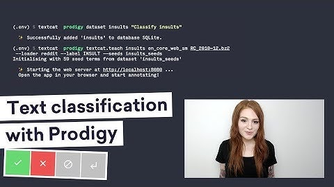 TRAINING AN INSULTS CLASSIFIER with Prodigy in ~1 hour