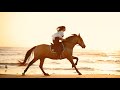 Beach horse ride during sunset | Noordwijk, Holland
