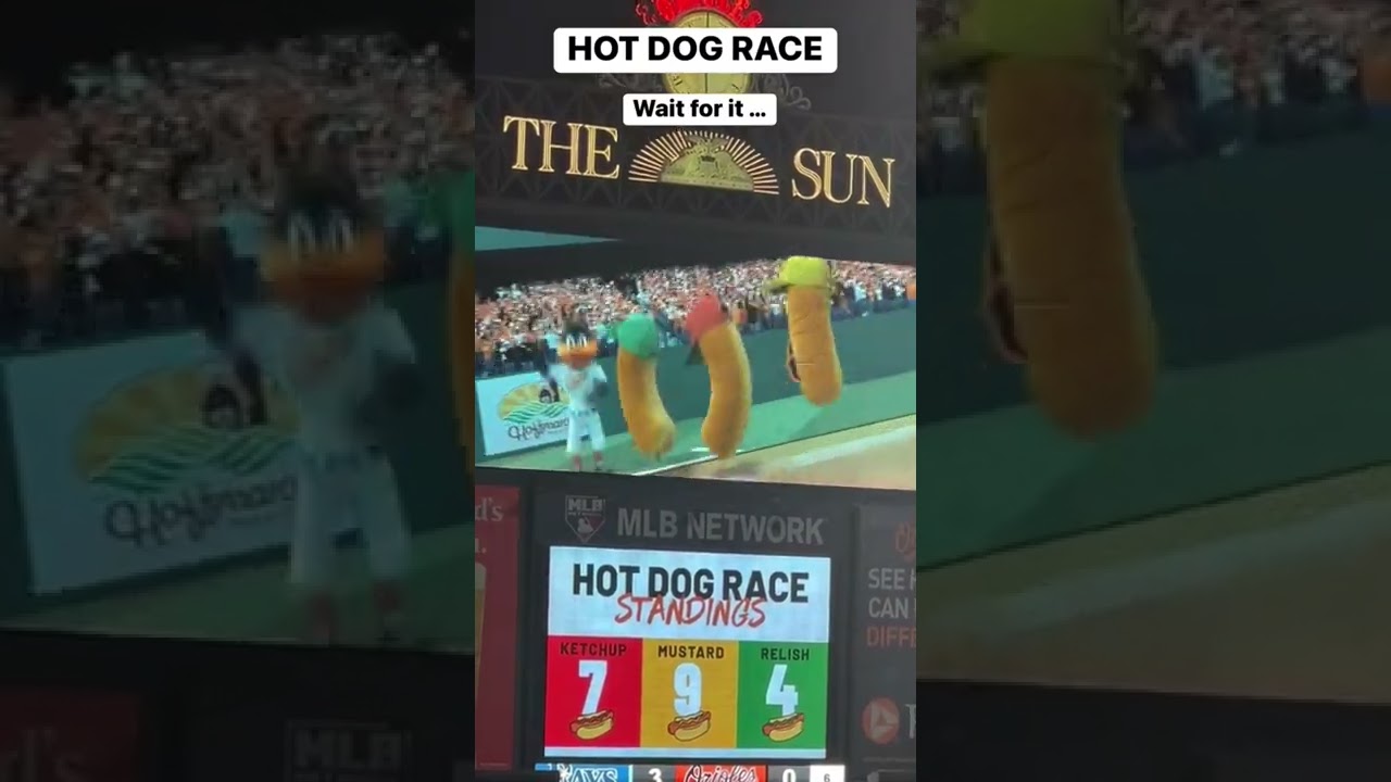 Hot Dog Race - Baltimore Orioles #baseball #baltimore #orioles 