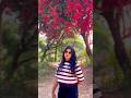new gujarati stutas / new rakesh barot song / #viral #love #youtubeshorts #shorts #trending #youtube