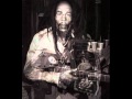 Bob Marleys Last Concert - Info