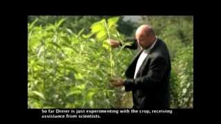 Bioenergy promotion "Agricultura and climat changes"