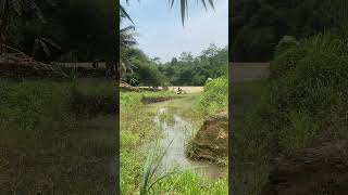 IMG 8682 IMG 8682