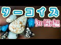 【前編】ターコイズ 知識編